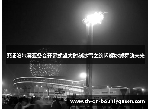 见证哈尔滨亚冬会开幕式盛大时刻冰雪之约闪耀冰城舞动未来 见证哈尔滨亚冬会开幕式盛大时刻冰雪之约闪耀冰城舞动未来