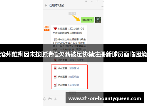 沧州雄狮因未按时清偿欠薪被足协禁注册新球员面临困境 沧州雄狮因未按时清偿欠薪被足协禁注册新球员面临困境